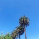 Amelia Warner Instagram - Will miss these blue skies.. 🌴💕🌴💕🌴💕🌴💕