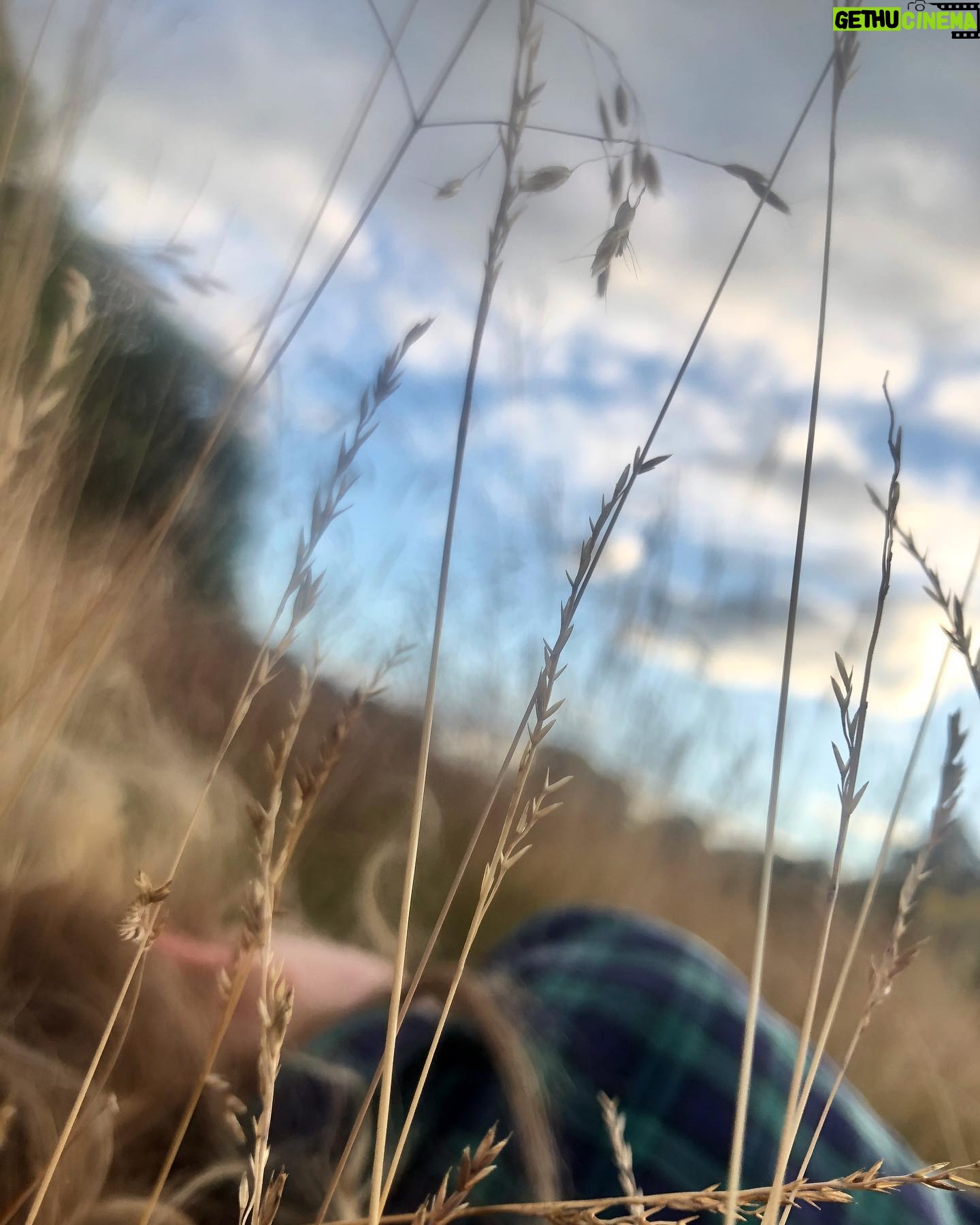 Amelia Warner Instagram - Summer holidays..