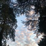 Amelia Warner Instagram - Magic sky