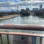 Ami Oonuki Instagram - 富山オーバードホールで行われる「AUBADE SYMPHONIC WAVE 2024」に出演させていただきました！素晴らしいオーケストラの皆さんの演奏、ずっと聴いていたかったです…🥹 観てくださった皆さんありがとうございました！ 久々の富山が嬉しくて、お天気に恵まれとても綺麗な街を由美ちゃんとお散歩してみました☺️ タクシーの運転手さんオススメの"世界一美しいスタバ"に行って来たよ☕️ #puffy #puffyamiyumi #aubadesymphonicwave2024 #富山久々 #富岩運河環水公園 #夜はライトアップされてそうで綺麗そう✨🤩 #犬会らしきものが行われていて #大きいワンちゃん達が沢山いました #セントバーナードもいて盛り上がった #由美ちゃんはジョセフって呼んでた #通だね #こんなに可愛いワンちゃん達と会うのも滅多にない機会なので #ワンちゃんと写真撮りたかったけど #飼い主の人はそういうのどう思うんだろう #やっぱ嫌だよね #この公園には船も停まるそうなので #次は絶対乗りたい〜 #そして富山ブラックまで辿り着きたい #ちなみにお互い写真を撮る習慣がないので #亜美の写真は前回のみ