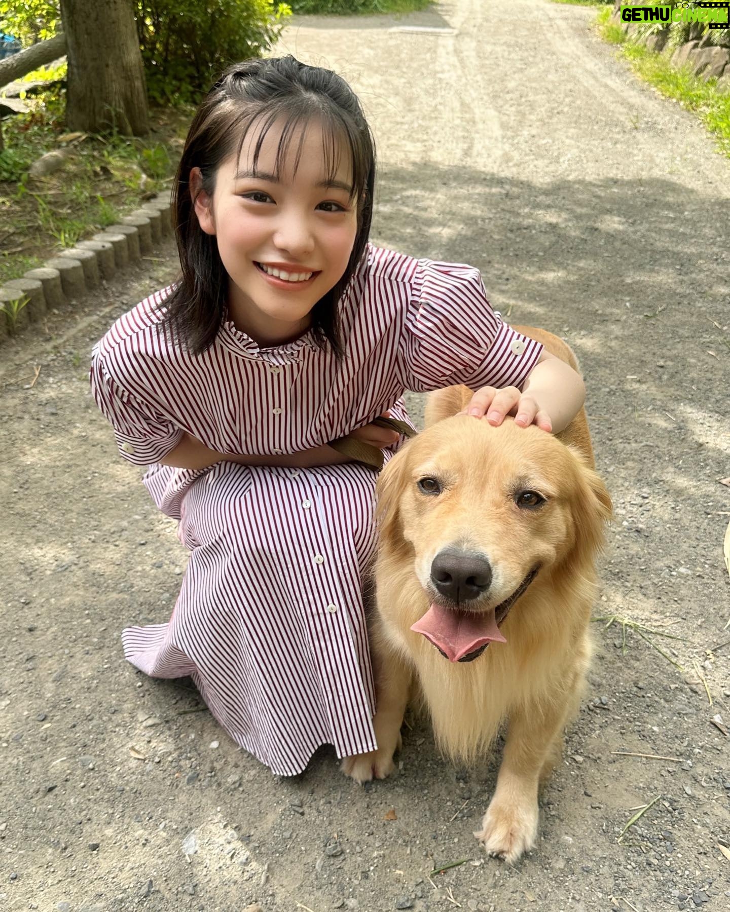 Ami Touma - 45.1K Likes - #MYOJO 11月号発売中です!
今回は可愛いわんちゃんとの撮影でした!暑い中ずっと一緒に居てくれるとてもいい子でした!
是非ご覧ください😊