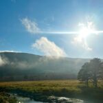 Amiah Miller Instagram -