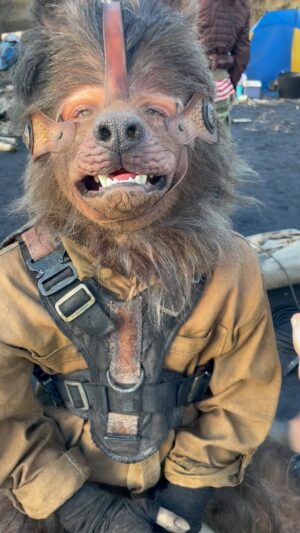 Amie Donald Instagram - BTS Season 3 Sweet Tooth now on Netflix … sometimes you just get hungry @sweettoothnetflix 

#wolfboy #sweettooth #warnerbros #teamdowney #jefflemire
