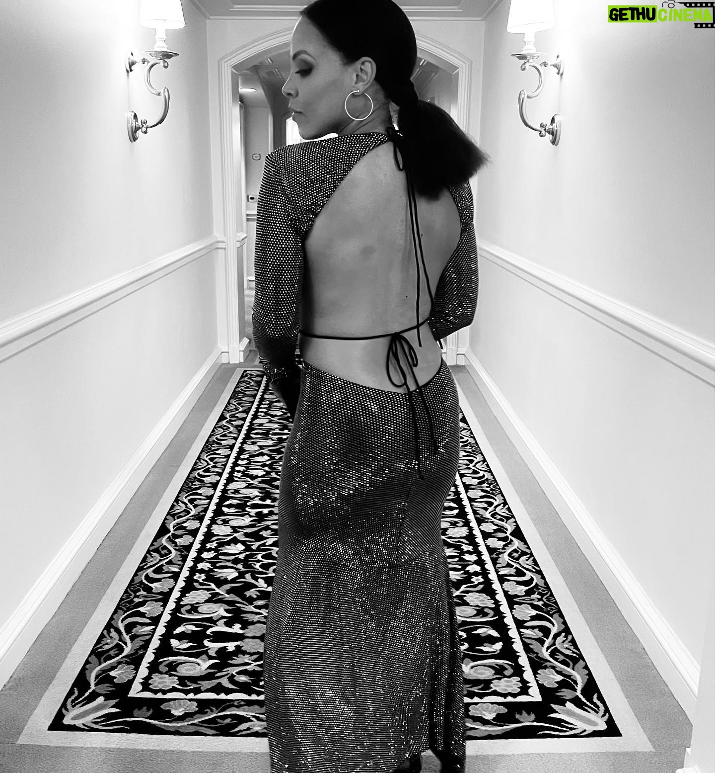 Amirah Vann Instagram - Last night was magical. Honored to be nominated alongside so many extraordinary artists! Huge thank you to the @naacpimageawards ♥️ Styled by @jasonrembert Dress @alexandrevauthier Shoes @jimmychoo Earrings @candyicejewelry