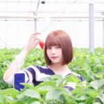 Amisa Miyazaki Instagram - 今年は2回もいちご狩り行けたー！！ ・ 髪の毛暗くする前の茶髪ボブ宮崎さん👐携帯の画面バキバキだ… ・ カメラやってる友達がいると突然撮影会が始まる📸一眼って素晴らしい👏