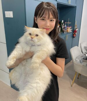 Amisa Miyazaki Instagram - シンガポールの親戚のおうちの猫ちゃん。めっちゃでかかった😂5キロだって😂
・
そして、チュールが好きなのは世界共通でした。