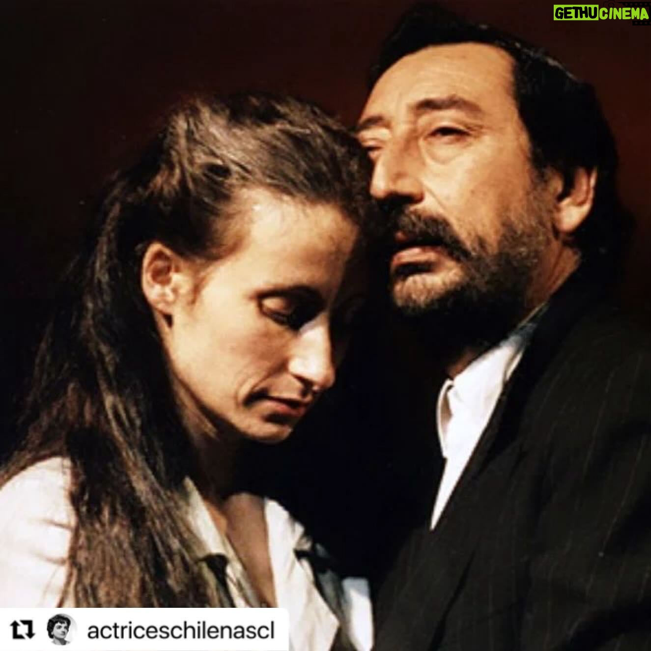 Amparo Noguera - 2.5K Likes -