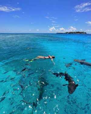 Amrita Puri Instagram - Swimming with the sharks 🦈 
Such an exhilarating experience. Ever since I watched Jaws I’ve been terrified of sharks. But… these gorgeous nurse sharks are harmless and really chilled. 
#nofilter #sharks #maldives #mythbusting 

Photo cred 📸 @aruunikakhanna