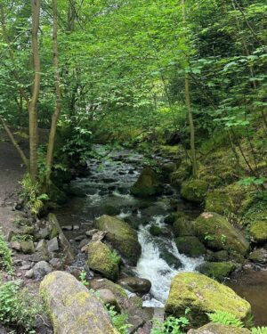 Amrita Puri Instagram - This beautiful hillside and nature reserve is just 20 minutes from the city centre. Edinburgh you’re gorgeous when the sun shines. 

📸 @gikgoolz 

#edinburghcity #saveourplanet