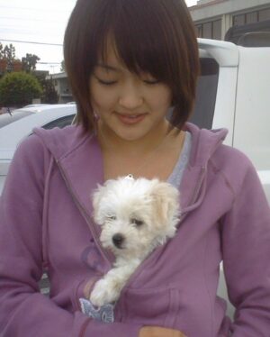 Amy Okuda Instagram - My best friend and forever baby. For half my life she made everyone laugh with her bitchy antics. My heart hurts more than I ever could have imagined and life will never be the same but I hope she will be watching over us as we enter a new chapter. 
Lola, thank you for being the cutest, spunkiest, most difficult dog in the world. We will always make sure to save a piece of wagyu steak for you.
