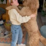 Amy Davidson Instagram – Lately. Photo dump. And dance lessons.