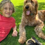 Amy Davidson Instagram - We got Turf!!⛳️Finally!!!! Our main concern was that Lennox, Clifford, (and Sunny🦎😉) had a safe environment to play on…After doing a ton of research, we discovered a turf infill called @tcool_cooling_infill which is antimicrobial, ensuring a safe and clean play environment for everyone! 🌿🦠 🙌😎💦 🌬️ The innovative evaporative cooling technology in Tcool helps to keep the temperature down even on scorching days,🌡️ making it perfect for our outdoor activities. 🌞💦 💨 Tcool has been the perfect choice for our family creating a refreshing, hygienic, and enjoyable backyard 🏡 We are staying cool and comfortable this summer. 😎 #tcool l #evaporativecooling #outdoorfun #staycool #innovation #technology #summervibes