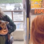 Amy Davidson Instagram – We met a very special little lady on Saturday. Please meet Clementine.🐶♥️This sweet little girl will be joining our family today as a foster to adopt, but I already know how this is going to pan out! Lol! There are so many people that have helped to make this possible. The amazing rescue and staff of @therealbark has been nothing but supportive and loving in our journey with Clementine. 🙏🏻 Thank you for giving us an opportunity to grow our family and give Clementine a happy life and home. Having our friend and Dog Trainer, Lucy @thehappydogclubla join us to meet the baby girl and help Clifford and Clementine get acquainted, was an absolute must. She truly helped make their introduction seamless. Lucy will also be coming over today when the rescue drops off Clementine 🫶🏻 to once again, help us create a safe and happy atmosphere for our gentle giant and new mini girl.💙🩷 @kaleycuoco thank you for being so supportive and genuinely excited for us. 🌷For reaching out to @therealbark on our behalf and continuing to spread your love of four-legged furry friends. 🙏🏻🩷 @saralaskow you introduced us to our two furry babies! And you knew, you just KNEW they were meant to be part of our family. I don’t know if I’ll ever be able to thank you enough. 🙏🏻🥹🌷

So much thought has gone into this next step and addition to our family, and it does not go without saying that part of me still feels completely broken without Sophie. This process has been incredibly emotional and cathartic and quite honestly, destined. I’ve missed my baby girl tremendously this past year but I am excited to open my heart to another mini furry baby. I think Sophie would approve. Soph, you will forever be my heart dog. My soulmate. I love and miss you every day, my sweet girl…🩷🩷🩷