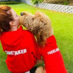 Amy Davidson Instagram - The Caretaker and the Freeloader...Ain't that the truth! 😂 Kales, you and @ohnorman knocked it outta the park! Already gave Clifford "Calm the eff down!" And he literally gave me his head to put his first ever sweatshirt on! Congrats on the launch!!! 🐶🐾♥️ You guys, check out these awesome and adorable products from @ohnorman 🐾🐾🐾
