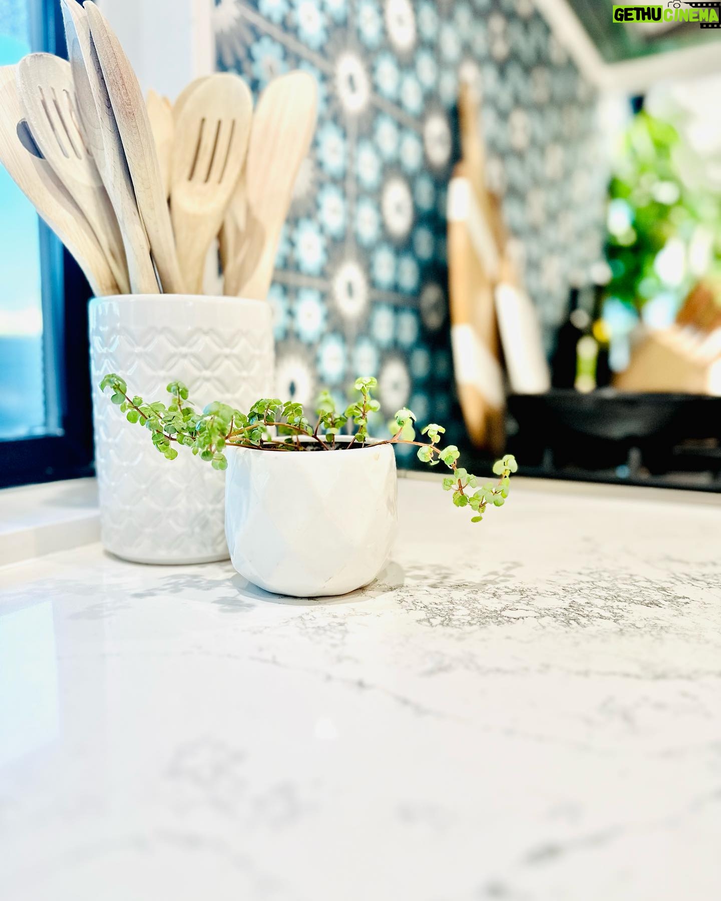 Amy Davidson Instagram - Working with @caesarstoneus for our kitchen countertops was a total dream! Our designer, Cynthia of @sodapopdesigninc loves their stone and when she introduced me, I was instantly sold! We knew we wanted chic, white countertops and when we saw the final design (Cynthia had chosen Empira white) it’s like she had read my mind. 🙌🏻 The waterfall edge!!!! Omigoodness, it’s even more stunning in person! 🤩 The veins in the stone are so unique. Some of them trail off on their own, and other veins clump into their own beautiful designs. CaesarStone slabs truly look like art. ✨ And bonus— they are easy to clean, maintain and are very durable. Thank you Cynthia and CaesarStone for making my dream kitchen come to true❣️🫶🏻❣️