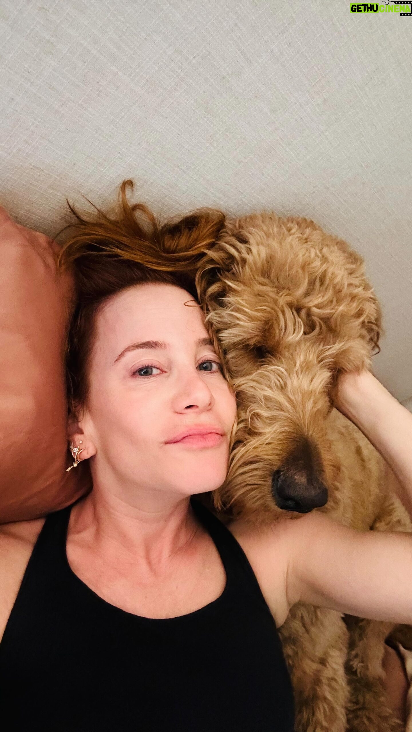 Amy Davidson Instagram - Last night snuggles with Clifford. 🐶🐾🐾Well, he actually pinned me down and I couldn’t quite move without waking the sleeping baby. Lol! I think his head weighs like 10 pounds. do your dogs hold you captive?! 😅 I mean, the poor guy was obviously sooooooo tired. It’s such a ruff life eating, sleeping, walking, barking at everyone and everything ALL DAY! I hope you got your beauty sleep, buddy. I love you!