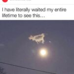 Amy Huberman Instagram – My giant slug sloth bear cloud paling in comparison.