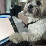 Amy Huberman Instagram – My script supervisor is constantly on my back.
And she might have just read the plot twist
*the puppy gets it