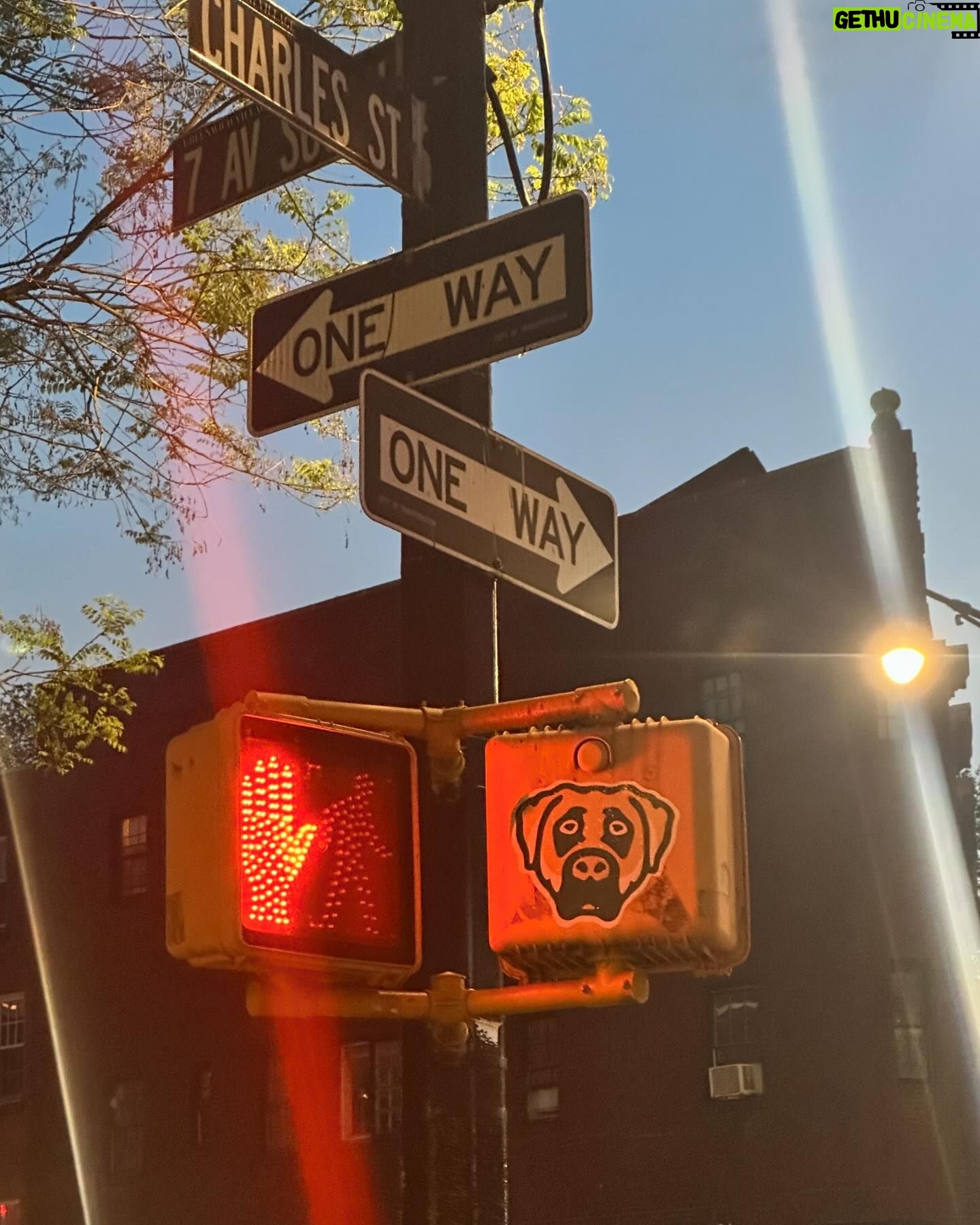 Amy Huberman - 8.6K Likes - Bits and BODs.
Dude with some fierce smoothie moves. Okay some recs; Balthazar, Jacks Wife Freda, 4 Charles, Pastis.
Brass Monkey. Hi (👋) Line. Chelsea Market in Meatpackers. West Village strollin. The Whitney. Comedy Cellar lolling @ @kumailn & @jarcuri. Shouting “LOOK at the cherry blossom flurry!!” possibly louder than necessary.
Monchichi spotting; time machine directly back to 1987. Once a gardener always a gardener. 🌳 👌
Loving the napkin placing on Bod’s leg making it look like he’s absolutely wearing training shorts and knee high socks out to dinner #casualmonday.
Dins may not have agreed with me 💨.