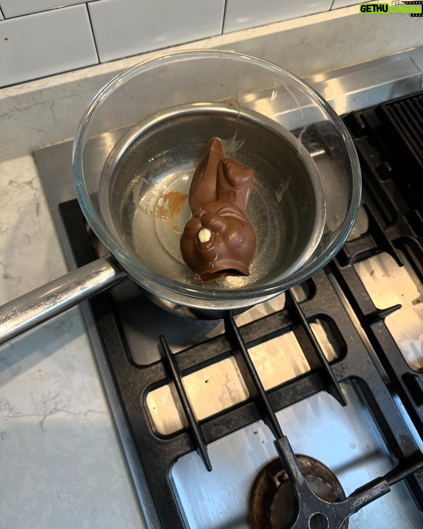 Amy Huberman Instagram - Coming to you live from the Glenn Close School of Cookery 🐰👩🍳