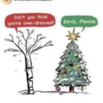Amy Huberman Instagram – This fir real delightful festive punnage
Who doesn’t love to spruce themselves up? (I’ll get my 🧥)
@christmasmoviequeen