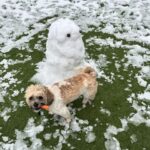 Amy Huberman Instagram – Anyone know a good rhinoplasty surgeon? ☃️👃🏻🥕

Phoebe 1
Snowman 0