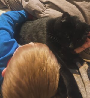 Amy King Instagram - Sunday cuddles over here! Little man is finally feeling a bit better!  The fever is gone but he’s still sleeping a lot and only wanting Mama! It’s just the sweetest… and don’t you just love how animals know when we are sad or not feeling well!?