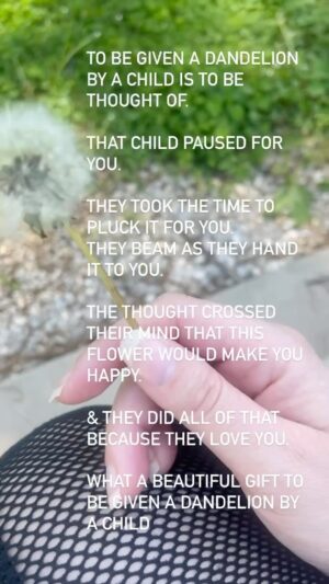 Amy King Instagram - Daxxy brings all kinds of weeds and dandelions, rocks, bugs, worms and mud to me! He’s especially proud when he finds roly polys! ☺️☺️

What the craziest thing your child has ever brought you because they love you SO much??