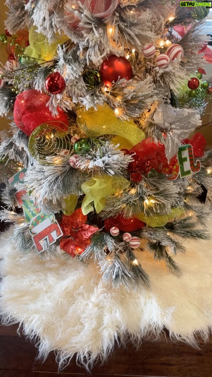 Amy King Instagram - Nov 1st -22nd Christmas!š Nov 23rd- š¦ Nov 24th-Decemeber 31st š²ā¤ļøš„° Am I right? Or am I right!? This is the 1st year Iām decorating early .. my husband finally caved!š only took 8 years!!