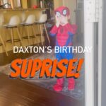 Amy King Instagram - 🕷️This bounce house from @funormous is awesome!! Perfect for any superhero in training!! 🕷️ #funormous #spidey #bouncehouse