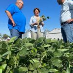 Amy Klobuchar Instagram - Happy National Ag Day to every single one of Minnesota’s hardworking farmers and ranchers — if you’re enjoying your meal today, thank a farmer.