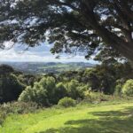 Amy Nelson Instagram - 📍Waiheke Island, New Zealand 🇳🇿