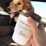 Amy Nelson Instagram - every coffee across america