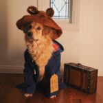 Amy Nelson Instagram – Please look after this bear, thank you.