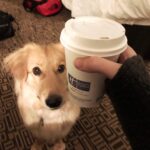 Amy Nelson Instagram – every coffee across america