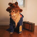 Amy Nelson Instagram – Please look after this bear, thank you.