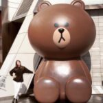 Amy Nelson Instagram - Now I only know the very basics but I’m fairly confident 귀여 means cute and I’m very confident that this 🐻 is 귀여 (correction I was slightly off it’s 귀여워!)