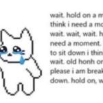 Amy Nelson Instagram – thank you from the bottom of my heart for staying (in)sane with us this year! I’m looking forward to seeing what’s here for me on the other side ⌛️