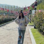 Amy Nelson Instagram – 🌸🇰🇷🎃