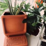 Amy Nelson Instagram – jazzed up about my new planter from @wyatt.little 🗣