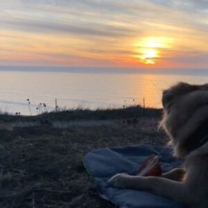 Amy Nelson Instagram - Henry-eating-a-pig-ear-and-falling-asleep-on-the-beach to study/relax to