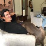 Amy Smart Instagram – Lap Dog Friday!!! Super snuggles with this big Fella🐾 @carterooster #adoptamutt