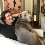 Amy Smart Instagram – Lap Dog Friday!!! Super snuggles with this big Fella🐾 @carterooster #adoptamutt