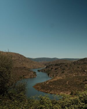 Ana Varela Instagram - Voltei ao Côa. E desta vez levei a família. 🦅

Na sexta visitámos ao gravuras do @museudocoa , com o @ambieduca_mferraz ; no sábado, a @wildlifeportugal levou-nos ao Ermo das Águias, onde, no ano passado, assisti à libertação dos cavalos Sorraia em regime semi-selvagem, parte do magnífico programa de renaturalização do Corredor do Côa da @rewilding_portugal ; no domingo conheci as lendas em volta do rio com o Sr Morgado, que tão bem nos recebeu no maravilhoso @coahoneycomb . 

Tive também a enorme honra de apresentar a primeiríssima edição Do(C)ôa Nature Film Festival, inserido no @coacorredordasartes , um festival que une duas das minhas enormes paixões: a Natureza e o Cinema 🥰 O difícil foi mesmo vir embora…

Confesso-vos que este é sem dúvida o meu programa preferido de férias. 🌲🌳🌿

E desse lado? Confessem lá, preferem praia ou campo? 💚
