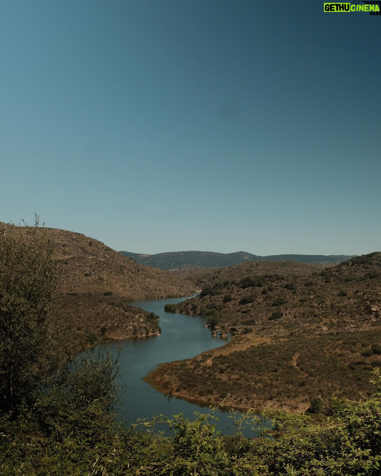 Ana Varela - 2.7K Likes - Voltei ao Côa. E desta vez levei a família. 🦅
Na sexta visitámos ao gravuras do @museudocoa , com o @ambieduca_mferraz ; no sábado, a @wildlifeportugal levou-nos ao Ermo das Águias, onde, no ano passado, assisti à libertação dos cavalos Sorraia em regime semi-selvagem, parte do magnífico programa de renaturalização do Corredor do Côa da @rewilding_portugal ; no domingo conheci as lendas em volta do rio com o Sr Morgado, que tão bem nos recebeu no maravilhoso @coahoneycomb .
Tive também a enorme honra de apresentar a primeiríssima edição Do(C)ôa Nature Film Festival, inserido no @coacorredordasartes , um festival que une duas das minhas enormes paixões: a Natureza e o Cinema 🥰 O difícil foi mesmo vir embora…
Confesso-vos que este é sem dúvida o meu programa preferido de férias. 🌲🌳🌿
E desse lado? Confessem lá, preferem praia ou campo? 💚