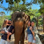 Anaïs Sanson Instagram – On a été dans un sanctuaire d’éléphants à Phuket🐘
C’était incroyable de pouvoir les rencontrer et les observer😍

(Ici ils ne font pas le show,on ne monte pas sur les éléphants,ils ne font pas de la peinture…) 

@phuketelephantnaturereserve (pas de collab)

#family#familylife#familyholiday#thailand🇹🇭