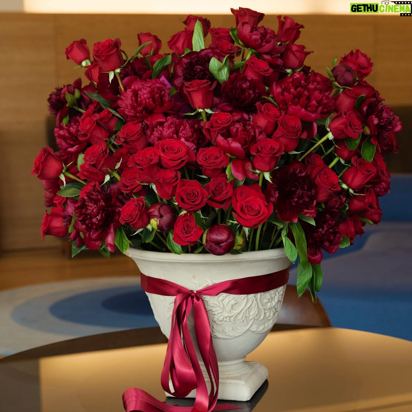 Ana Giulia Zortea Instagram - Taurus season but the star all year round #24