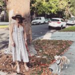 Ana Kasparian Instagram - Mornings with Charles. ❤️🐶