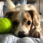 Ana Kasparian Instagram - #mood