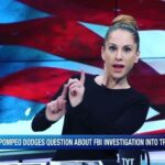 Ana Kasparian Instagram – Politicians in a nutshell. #pompeo #tyt